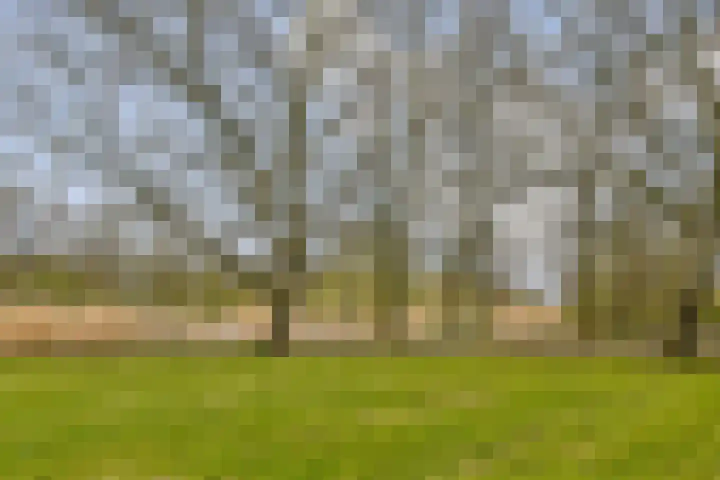 Boerhaavestraat 335 Vlaardingen thumbnail 24