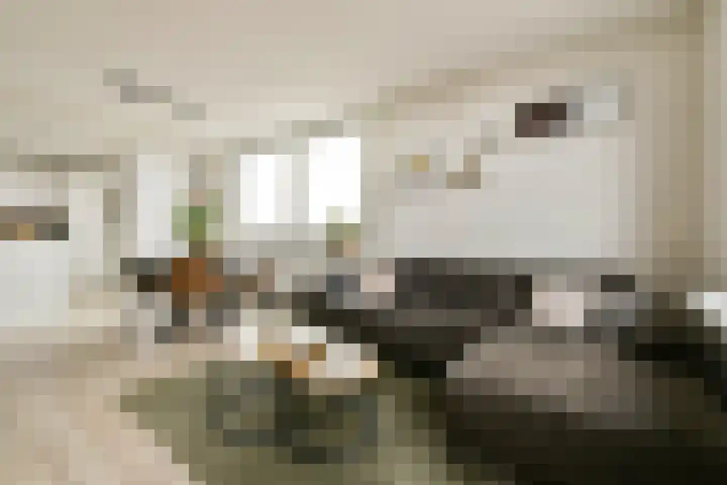 Boerhaavestraat 335 Vlaardingen thumbnail 7