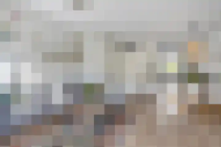 Boerhaavestraat 4 Lisse thumbnail 10