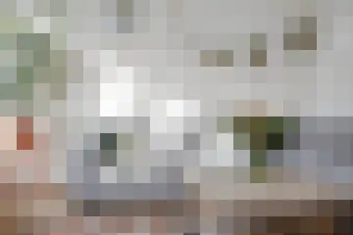 Boerhaavestraat 4 Lisse thumbnail 11