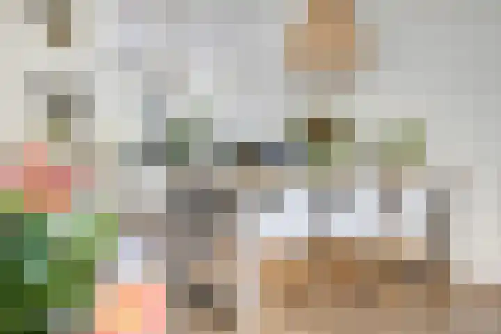 Boerhaavestraat 4 Lisse thumbnail 12