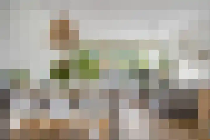 Boerhaavestraat 4 Lisse thumbnail 16