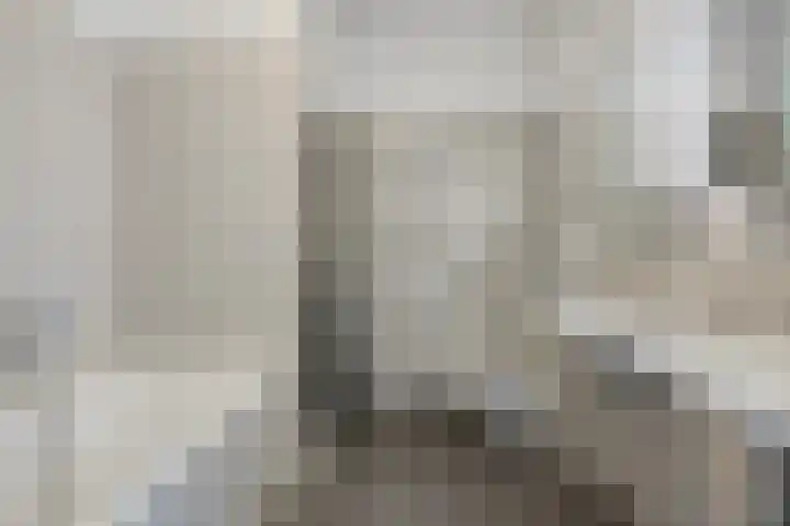 Boerhaavestraat 4 Lisse thumbnail 20