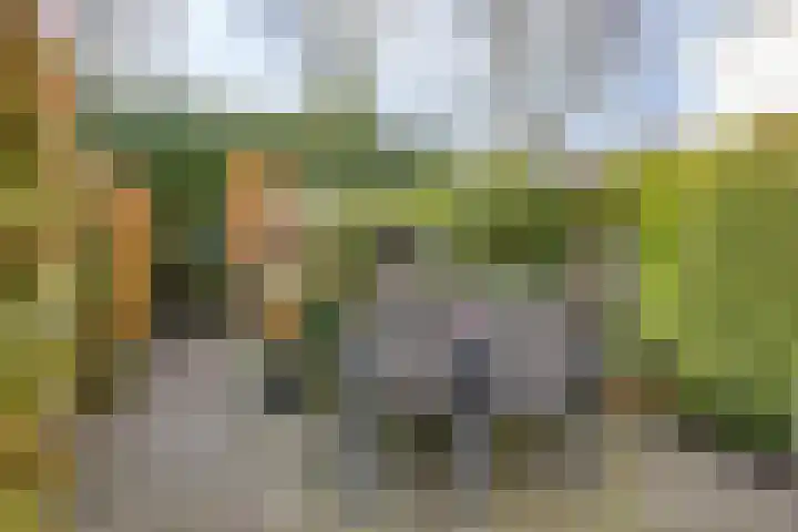 Boerhaavestraat 4 Lisse thumbnail 28