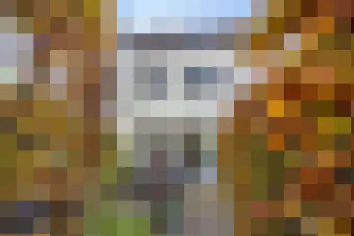 Boerhaavestraat 4 Lisse thumbnail 29