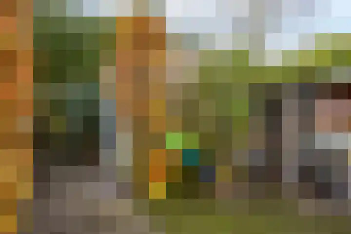 Boerhaavestraat 4 Lisse thumbnail 30
