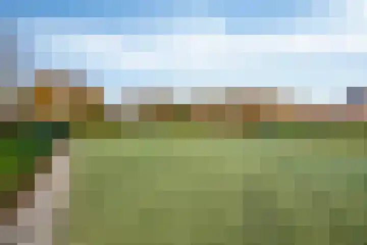 Boerhaavestraat 4 Lisse thumbnail 32