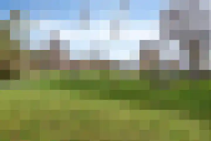 Boerhaavestraat 4 Lisse thumbnail 33