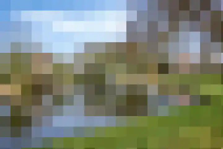 Boerhaavestraat 4 Lisse thumbnail 34