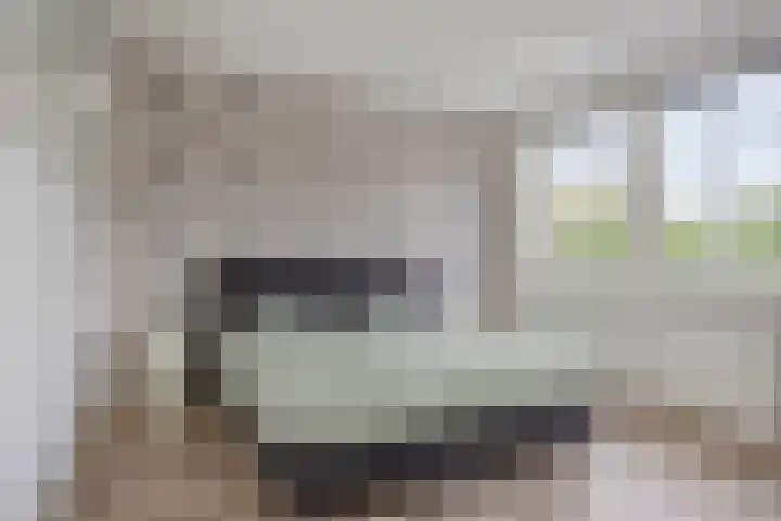 Boerhaavestraat 4 Lisse thumbnail 4