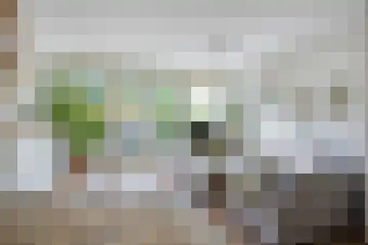 Boerhaavestraat 4 Lisse thumbnail 7