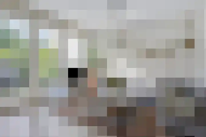 Boerhaavestraat 4 Lisse thumbnail 9