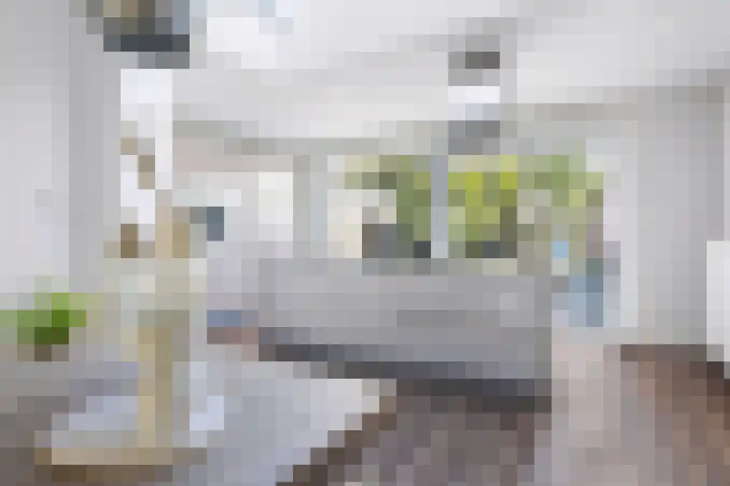 Boerhaavestraat 41 Geleen thumbnail 10