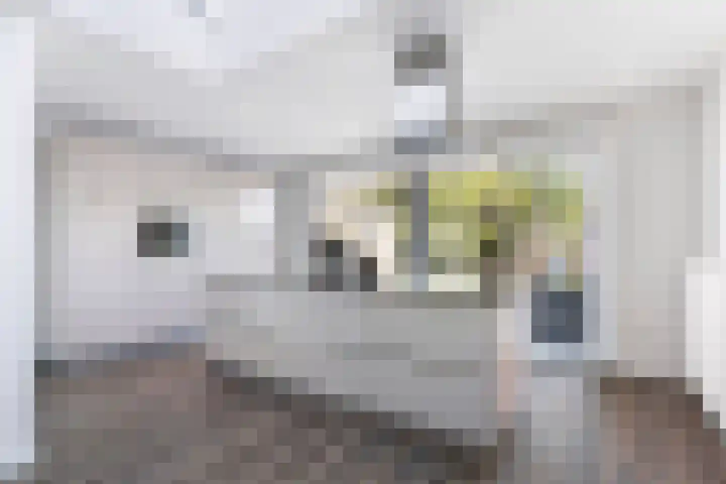 Boerhaavestraat 41 Geleen thumbnail 11