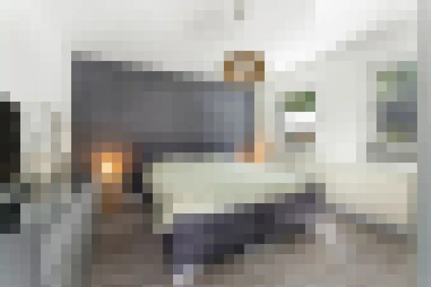 Boerhaavestraat 41 Geleen thumbnail 19