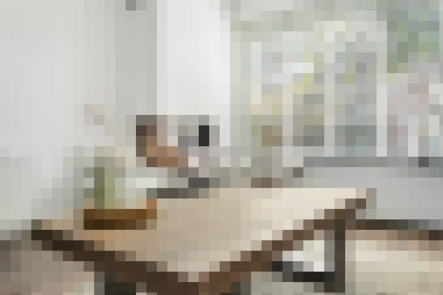 Boerhaavestraat 41 Geleen thumbnail 7