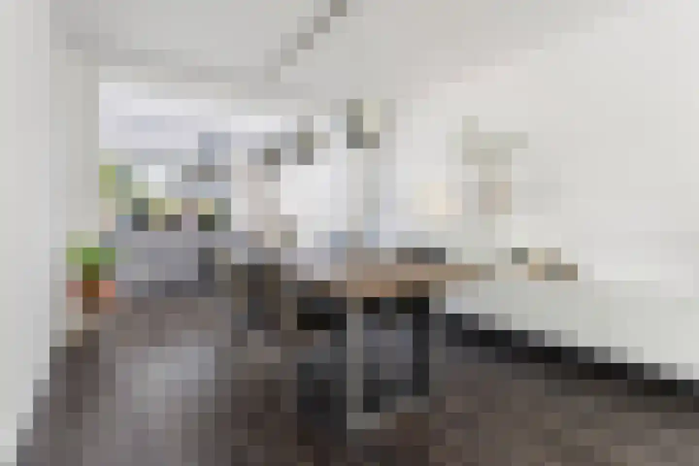 Boerhaavestraat 41 Geleen thumbnail 8