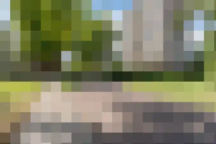 Boerhaavestraat 435 Vlaardingen thumbnail 5
