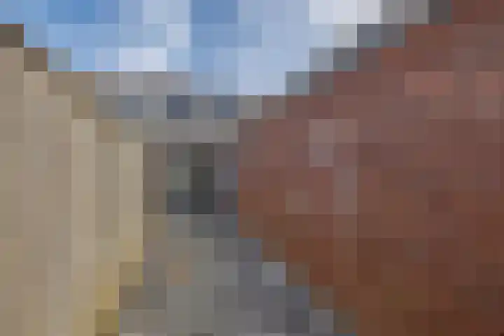 Boerhaavestraat 55 Den Helder thumbnail 12