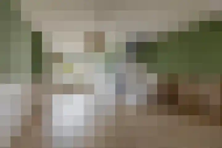 Boerhaavestraat 55 Den Helder thumbnail 4