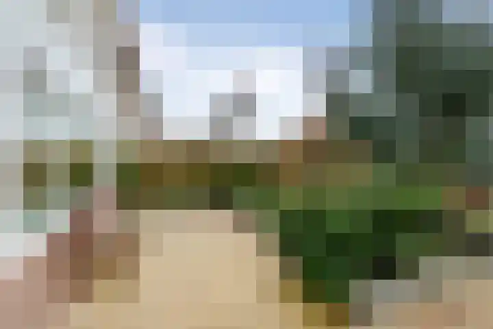 Boerhaavestraat 57 Den Helder thumbnail 4