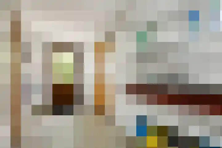 Boerhaavestraat 6 Boxtel thumbnail 21