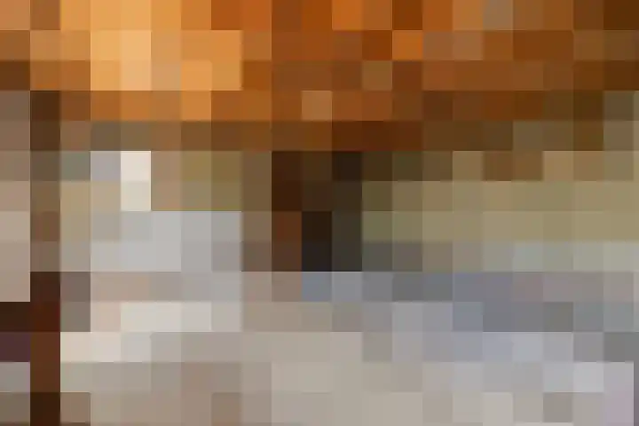 Boerhaavestraat 6 Boxtel thumbnail 22