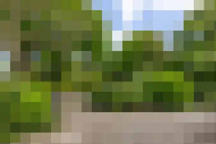 Boerhaavestraat 6 Boxtel thumbnail 4