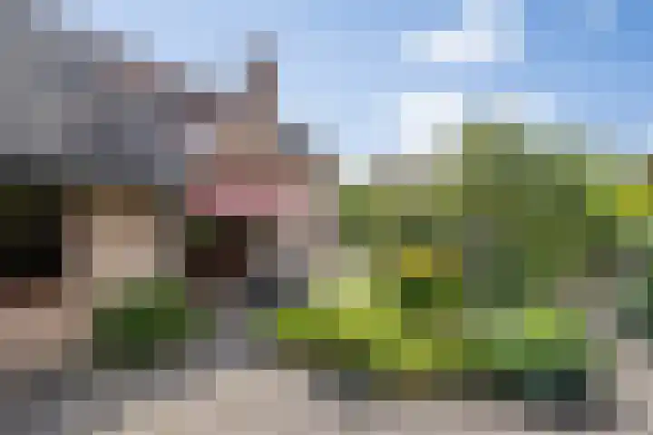 Boerhaavestraat 6 Boxtel thumbnail 49