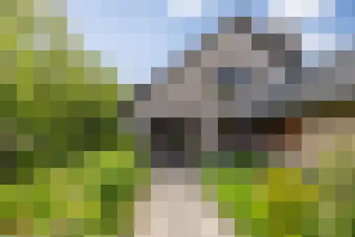 Boerhaavestraat 6 Boxtel thumbnail 5