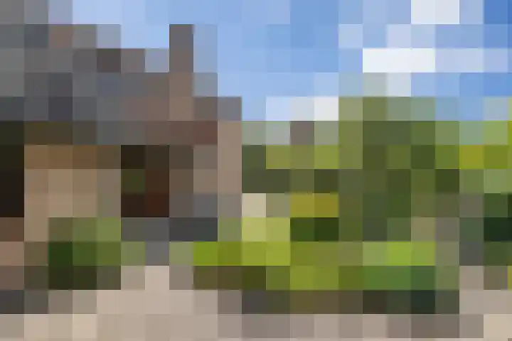 Boerhaavestraat 6 Boxtel thumbnail 53