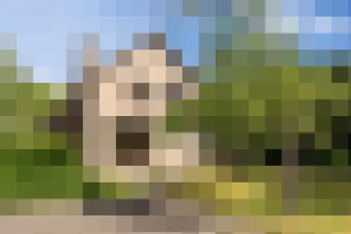 Boerhaavestraat 6 Boxtel thumbnail 57