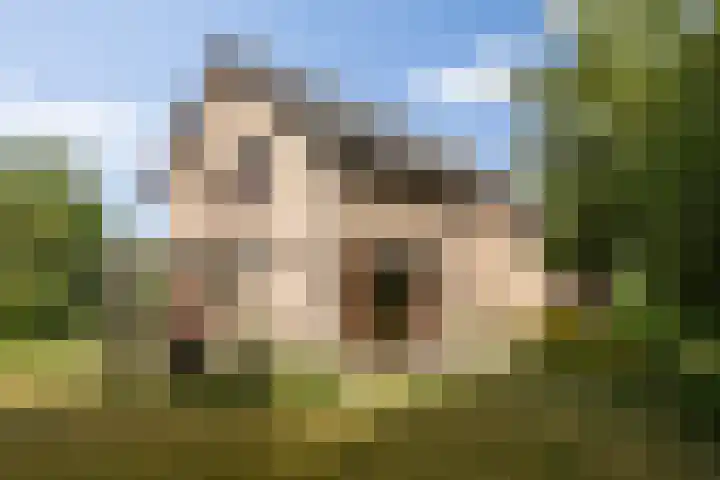 Boerhaavestraat 6 Boxtel thumbnail 59