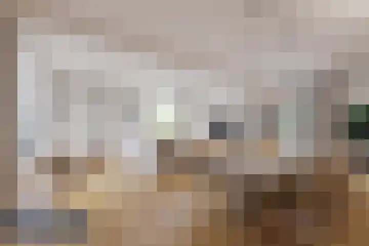 Boerhaavestraat 6 Boxtel thumbnail 8