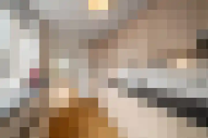 Boerhaavestraat 61 Den Helder thumbnail 9