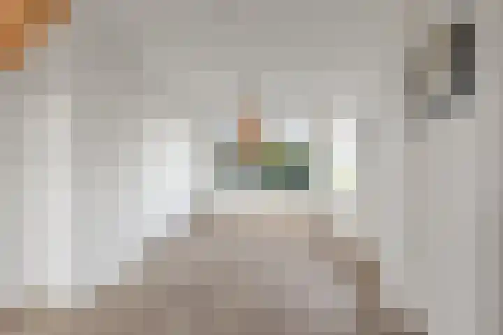 Boerhaavestraat 63 Den Helder thumbnail 4
