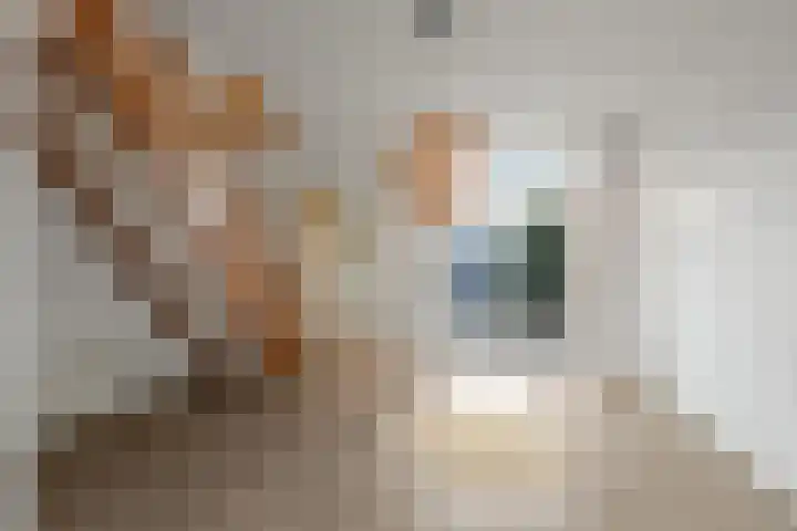 Boerhaavestraat 63 Den Helder thumbnail 7