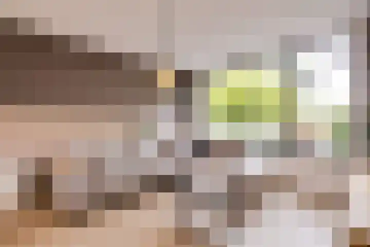 Boerhaavestraat 70 Apeldoorn thumbnail 4