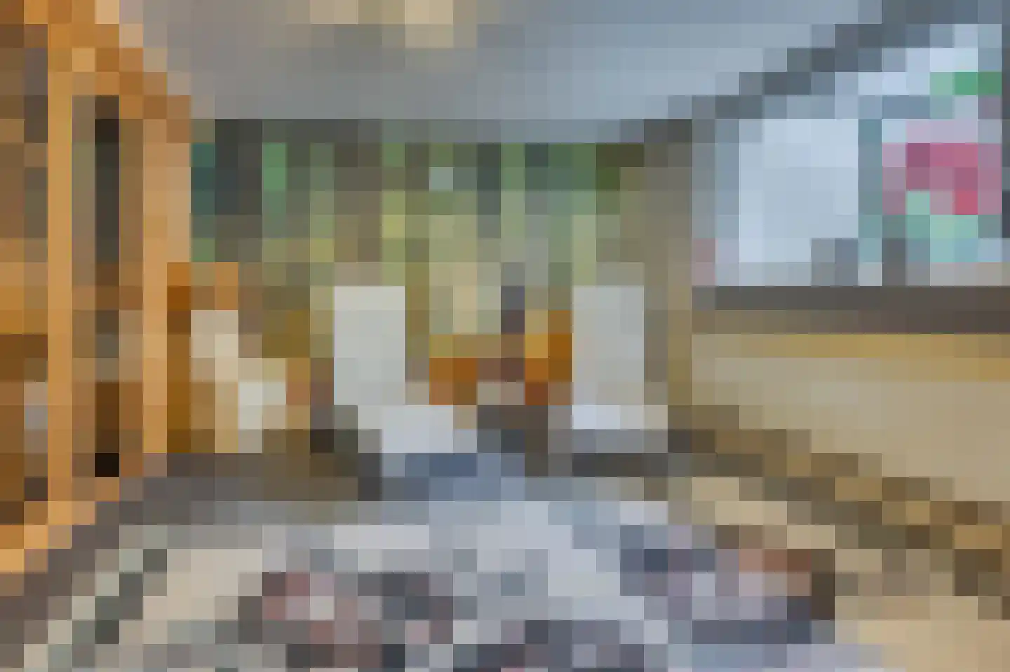 Boerhaavestraat 8 Venlo thumbnail 29