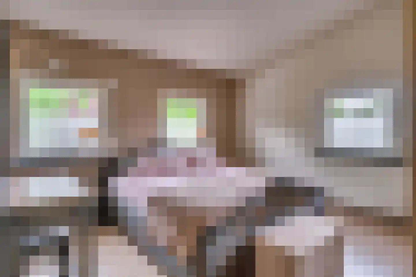 Boerhaavestraat 8 Venlo thumbnail 38