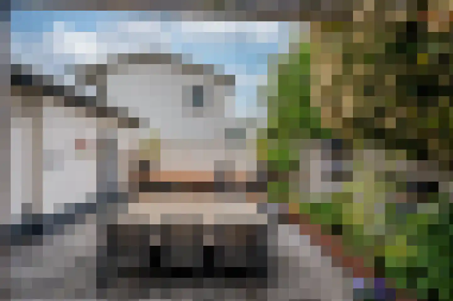 Boerhaavestraat 8 Venlo thumbnail 61
