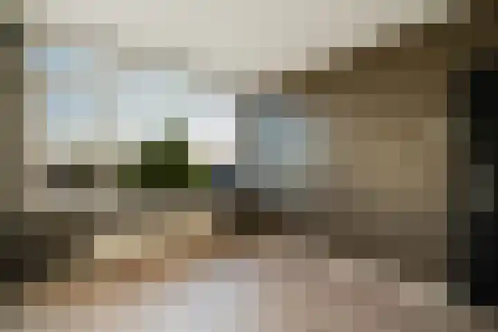 Boerhaavestraat 8 Weert thumbnail 20