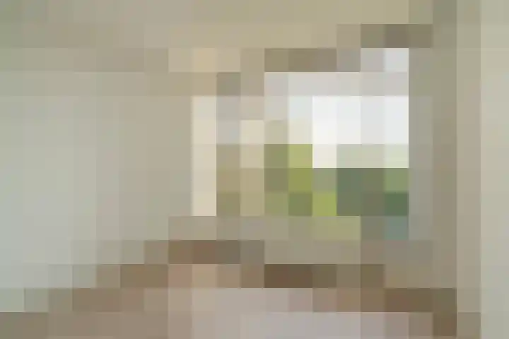 Boerhaavestraat 8 Weert thumbnail 21