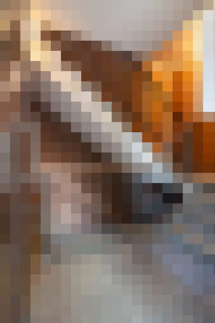 Boerhaavestraat 8 Weert thumbnail 30
