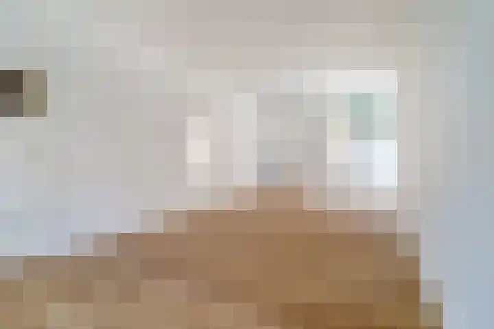 Boerhaavestraat 83 Tilburg thumbnail 6
