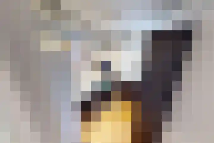 Boerhaavestraat 84 Bovenkarspel thumbnail 44