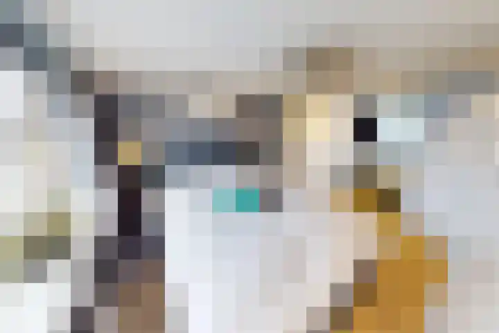 Boerhaavestraat 84 Bovenkarspel thumbnail 53