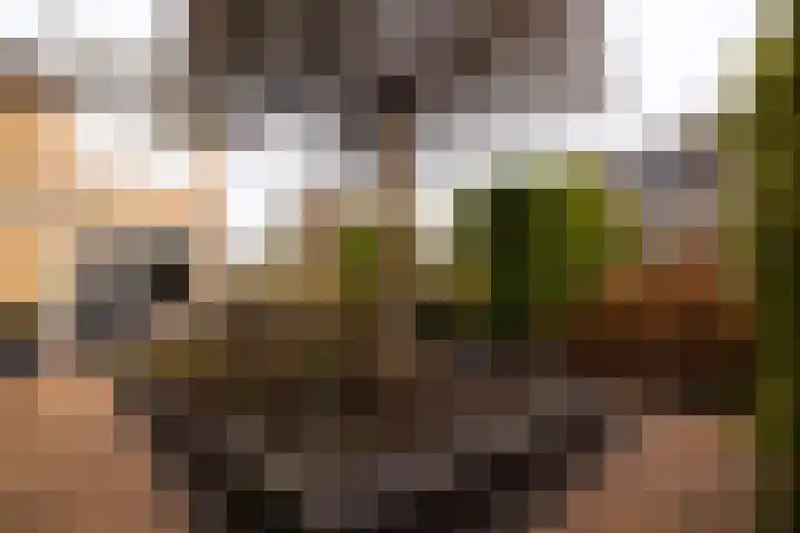 Boerhaavestraat 84 Bovenkarspel thumbnail 71