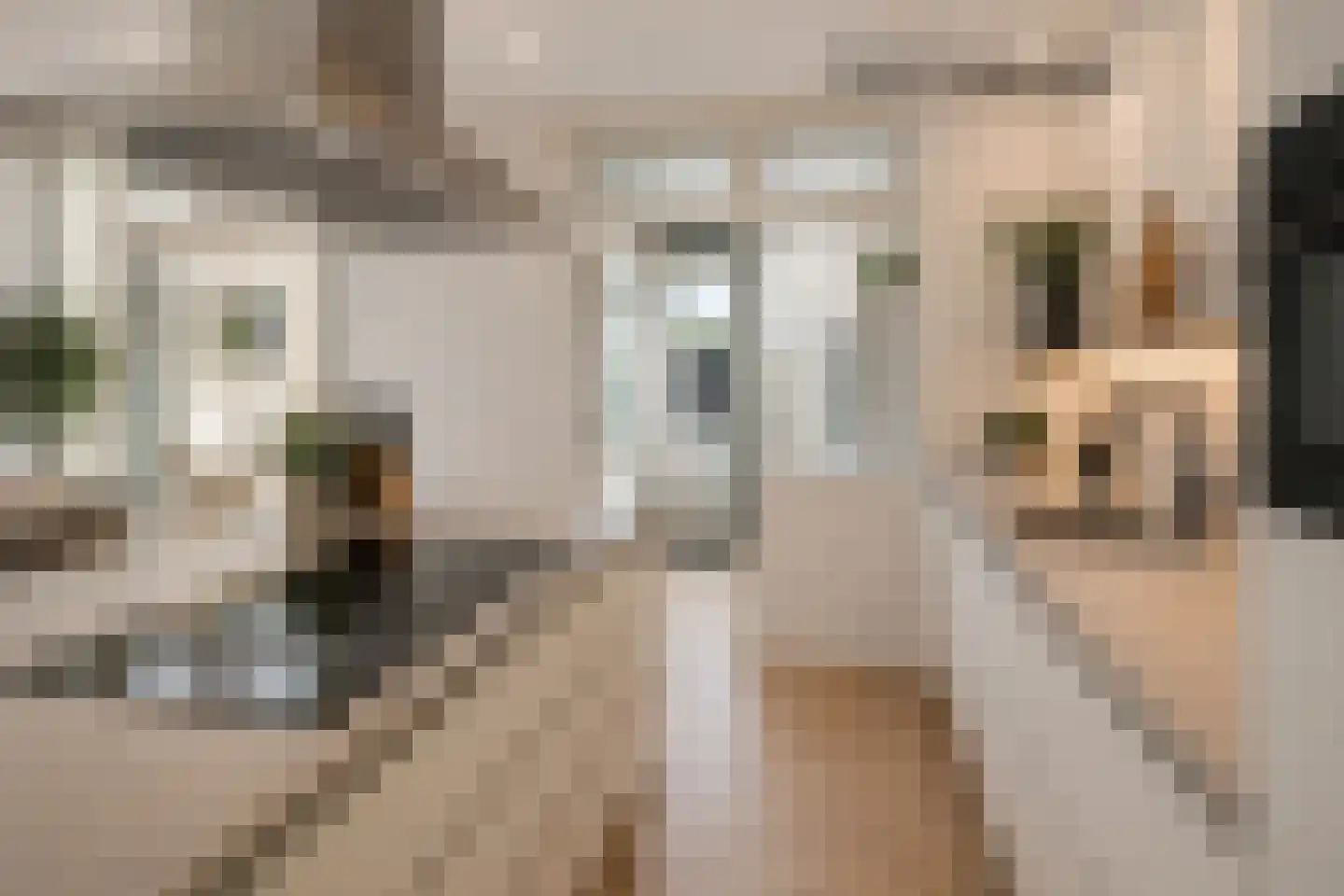 Boerhaavestraat 9 Bovenkarspel thumbnail 10