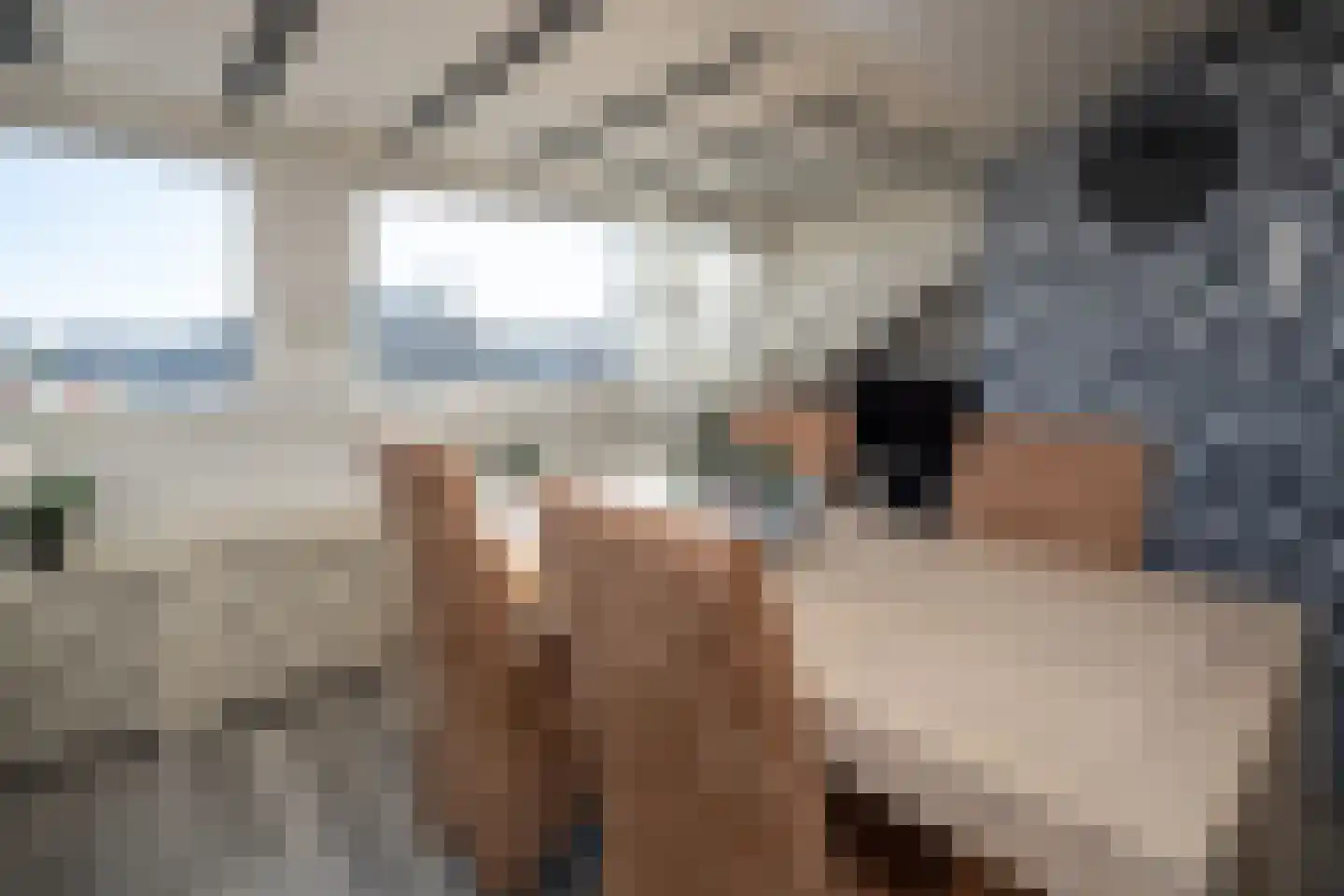 Boerhaavestraat 9 Bovenkarspel thumbnail 27